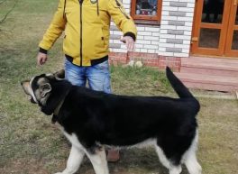 Юрий, 44 лет, Мужчина, Балашиха, Россия